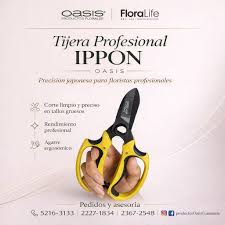 Oasis ippon scissors