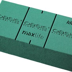 Oasis Block Foam (1Mx1Mx1M)