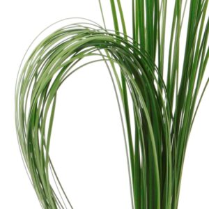 STEEL GRASS FLIXIGRASS